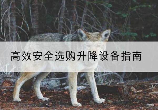 德令哈升降货梯厂家推荐-*安全选购升降设备指南