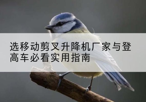 德令哈电动升降机厂家-选移动剪叉升降机厂家与登高车必看实用指南